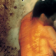 Image for article titled Celebrating Bruce Springsteen’s dark folk masterpiece